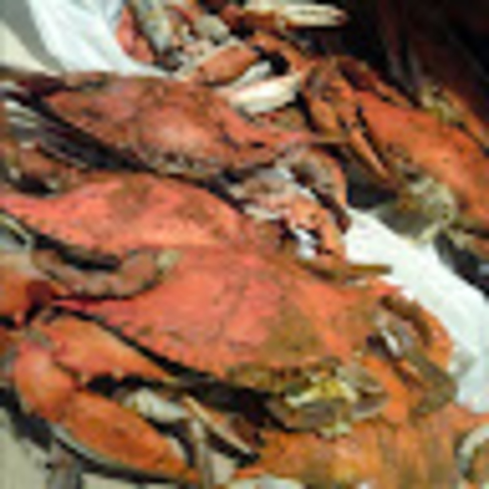 Meet your Posher, Kaye